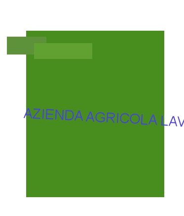 logo Azienda Agricola Lavacchio
