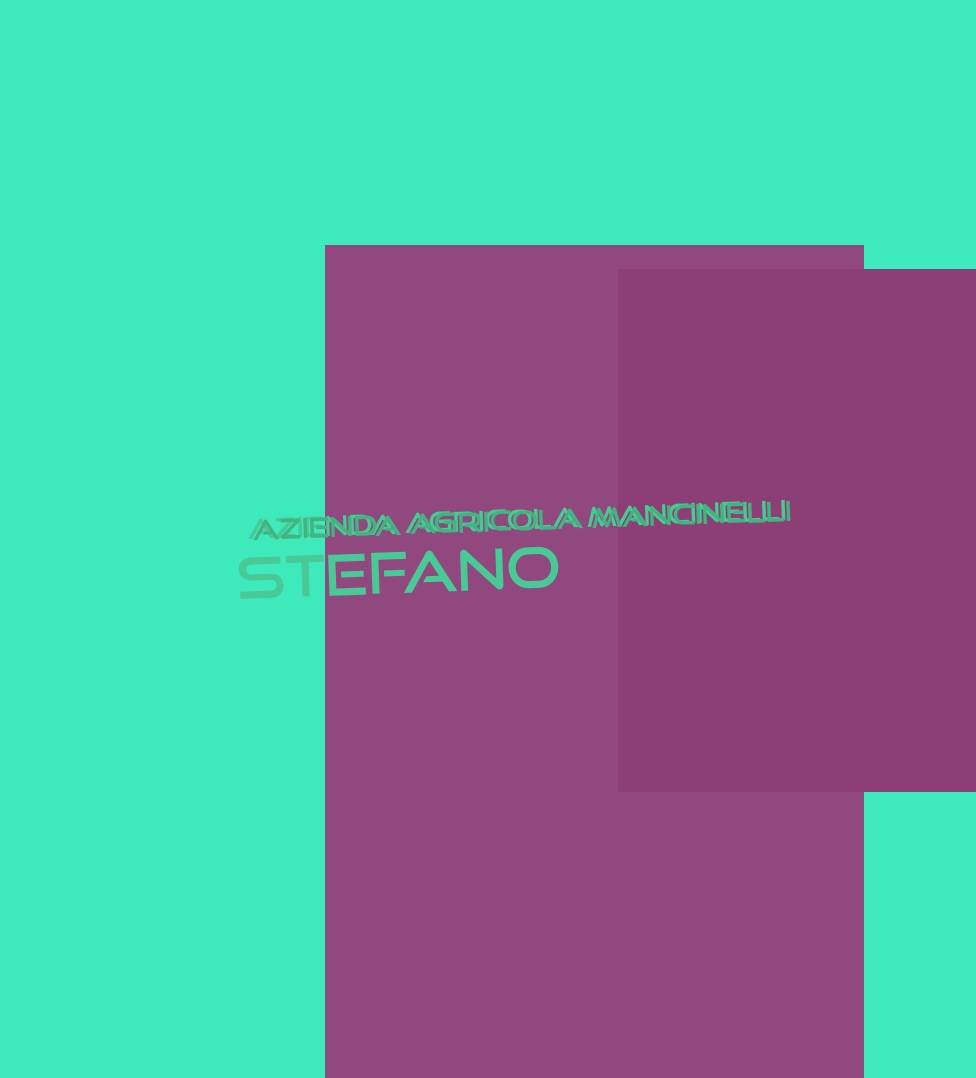 Azienda Agricola Mancinelli Stefano