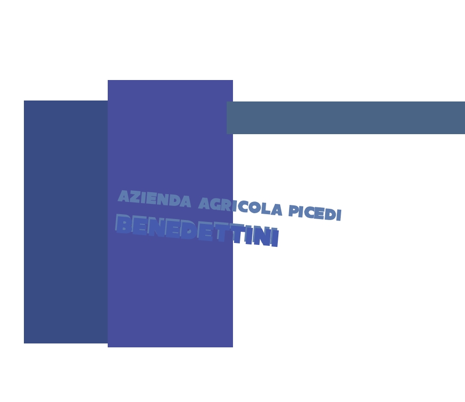 logo Azienda Agricola Picedi Benedettini