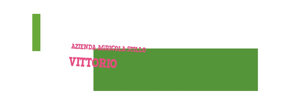 Azienda Agricola Stillo Vittorio