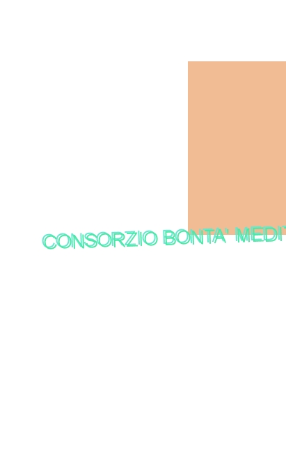 logo Consorzio Bonta‘ Mediterranee