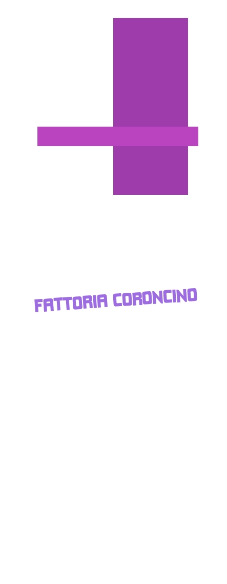 Fattoria Coroncino