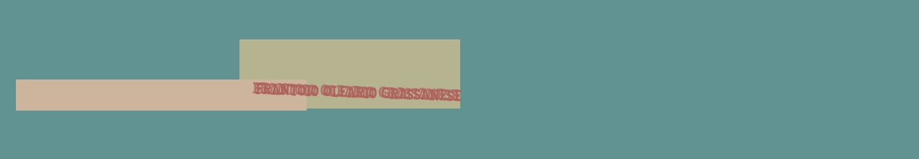 Frantoio Oleario Grassanese