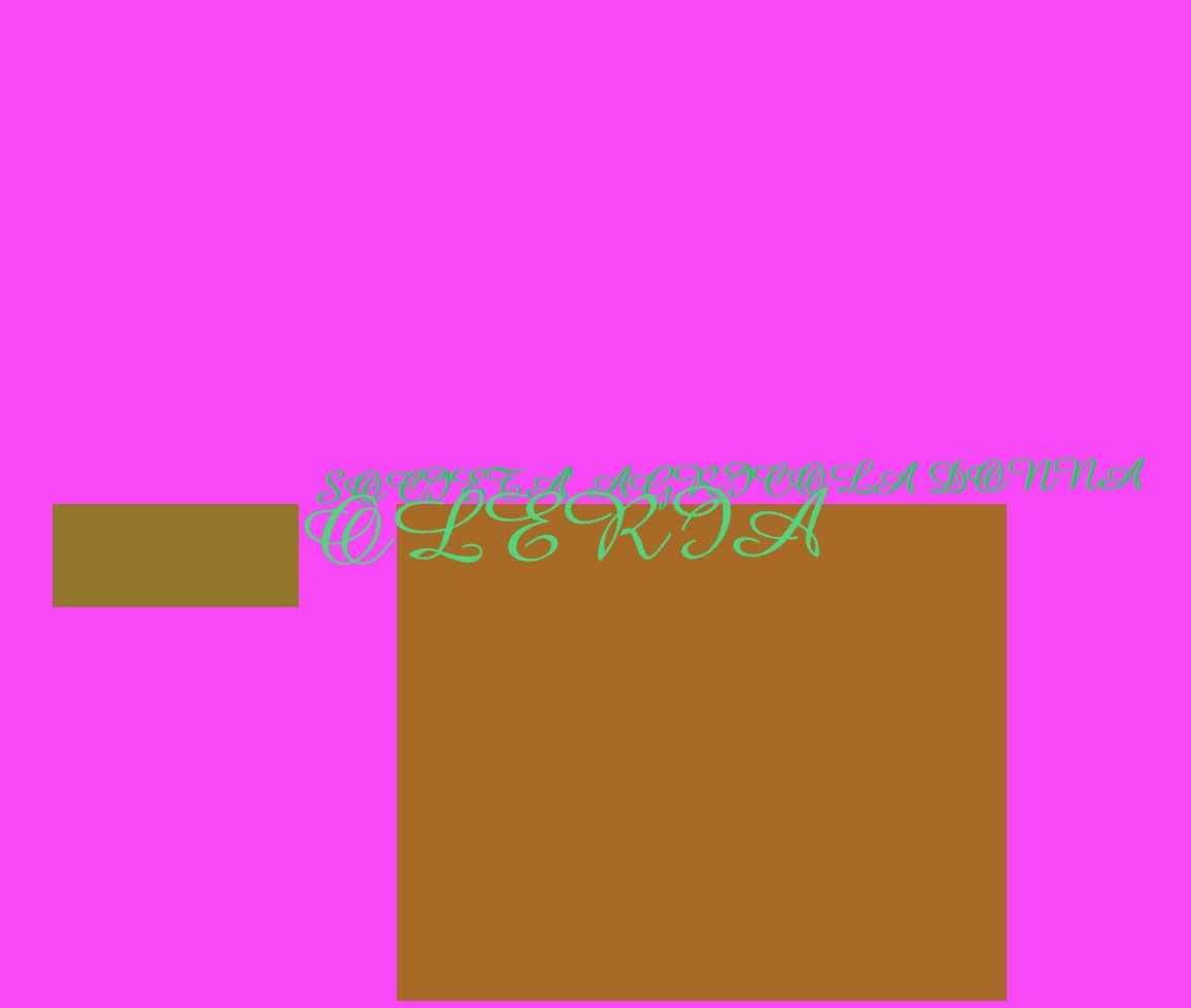 Societa‘ Agricola Donna Oleria