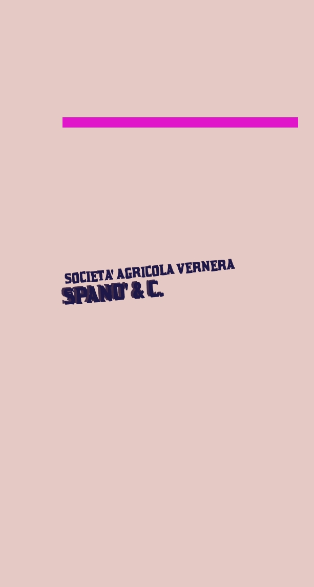 SOCIETA‘ AGRICOLA VERNERA
di SPANO‘ & C.