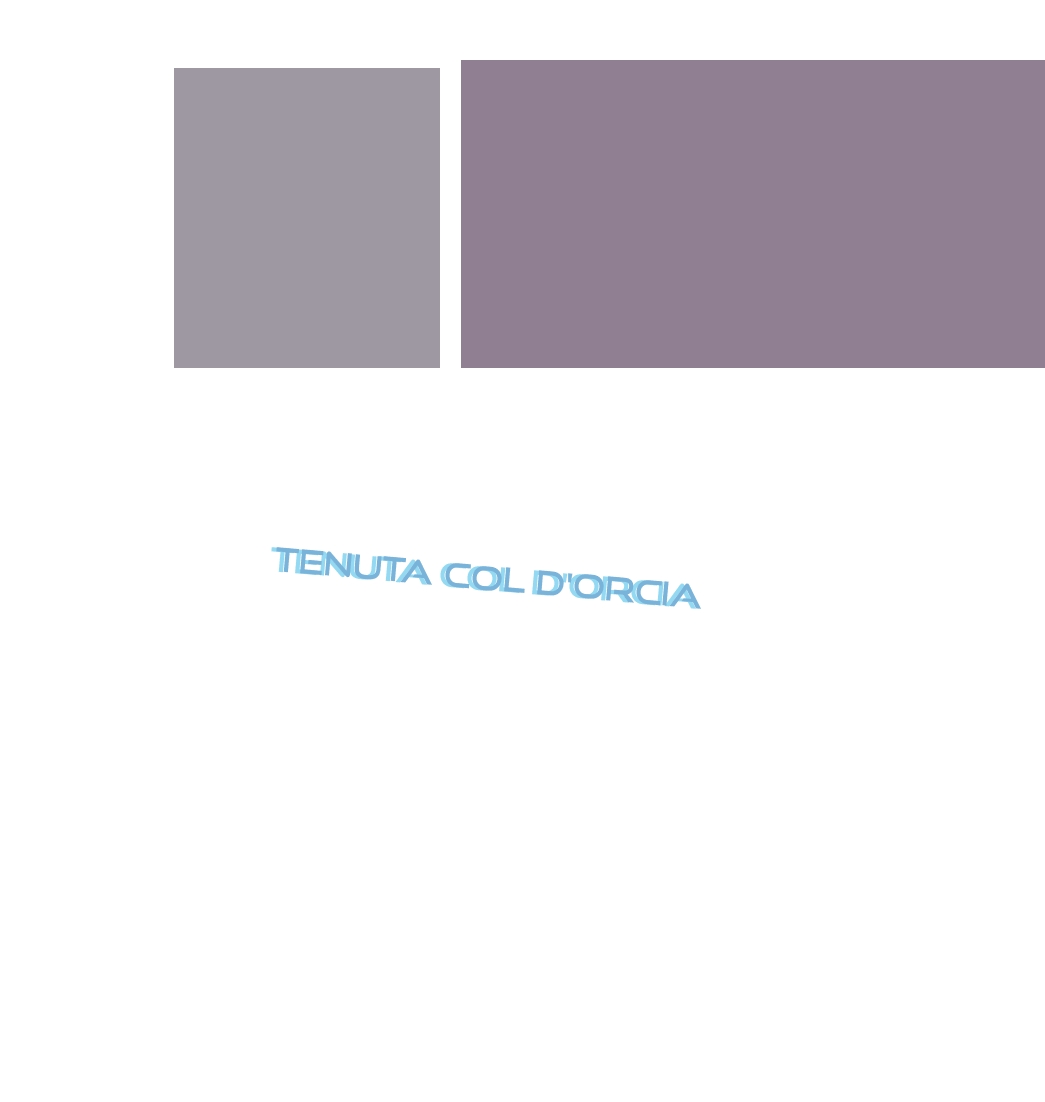 logo Tenuta Col D‘Orcia