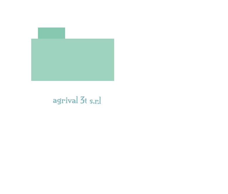 agrival 3t s.r.l