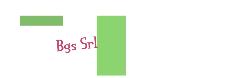 Bgs Srl