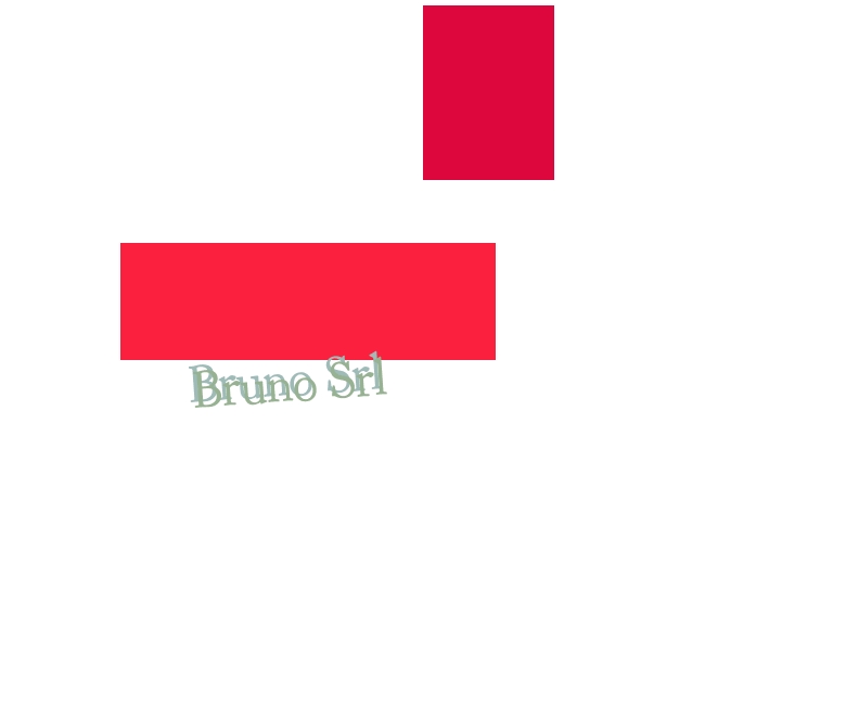 logo Bruno Srl