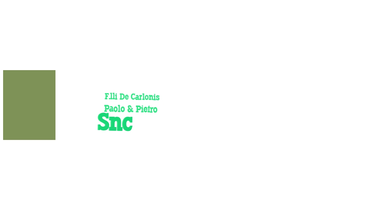 F.lli De Carlonis Paolo & Pietro Snc
