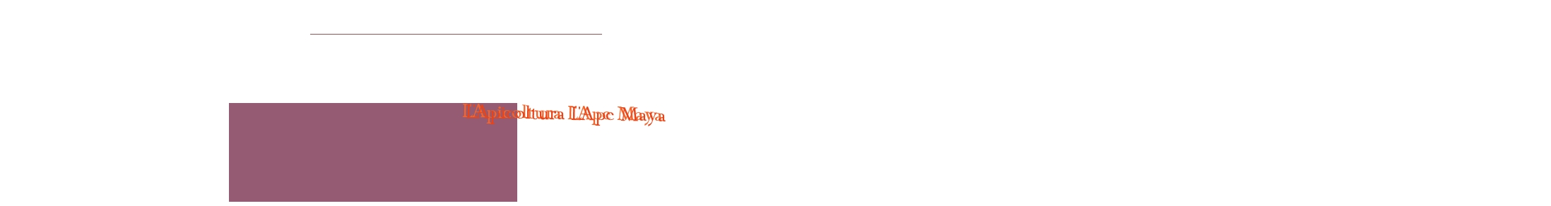 L‘Apicoltura L‘Ape Maya