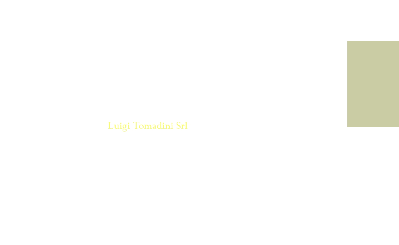 logo Luigi Tomadini Srl