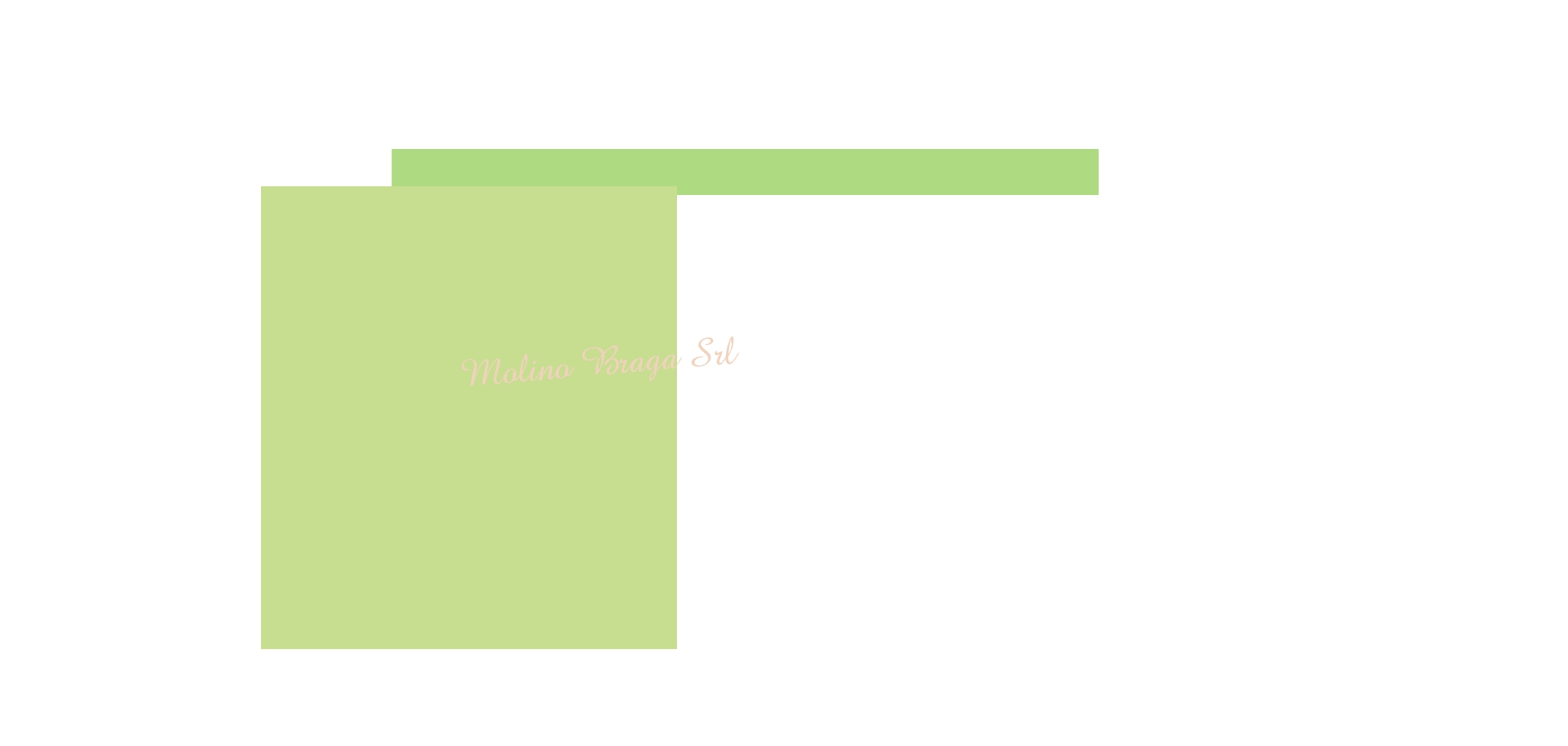 Molino Braga Srl Molino Braga Srl