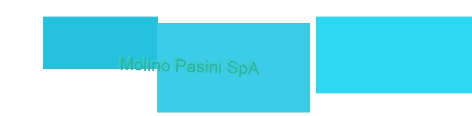 Molino Pasini SpA
