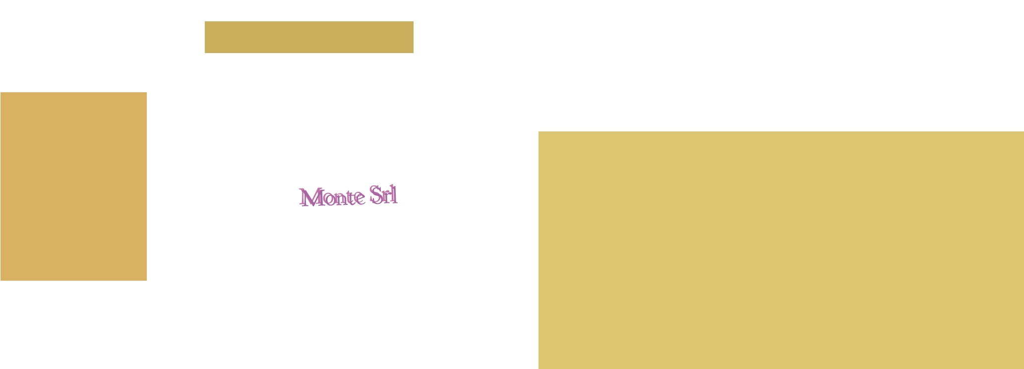 Monte Srl