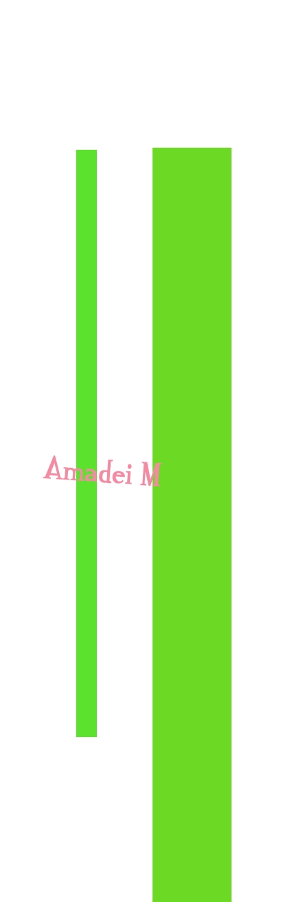 Amadei M Amadei M