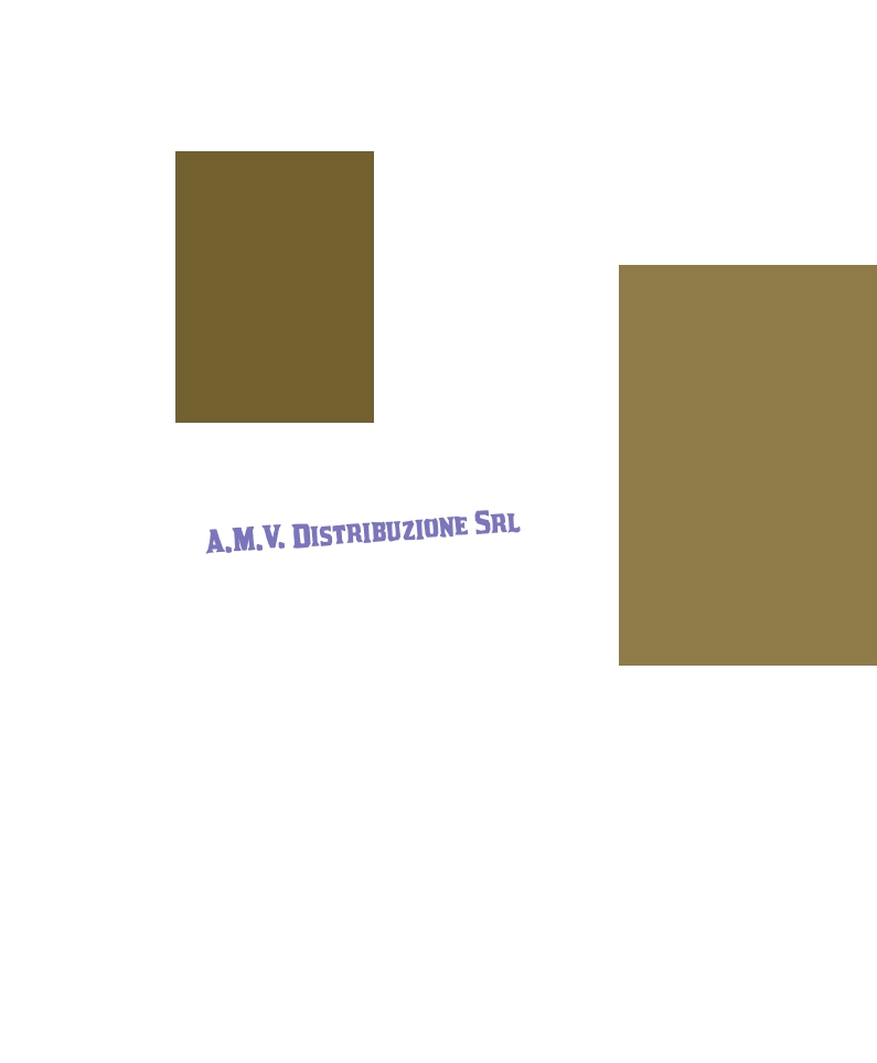 A.M.V. Distribuzione Srl