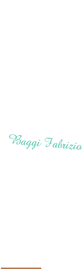 logo Baggi Fabrizio