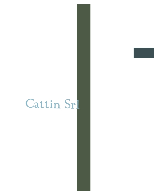 logo Cattin Srl