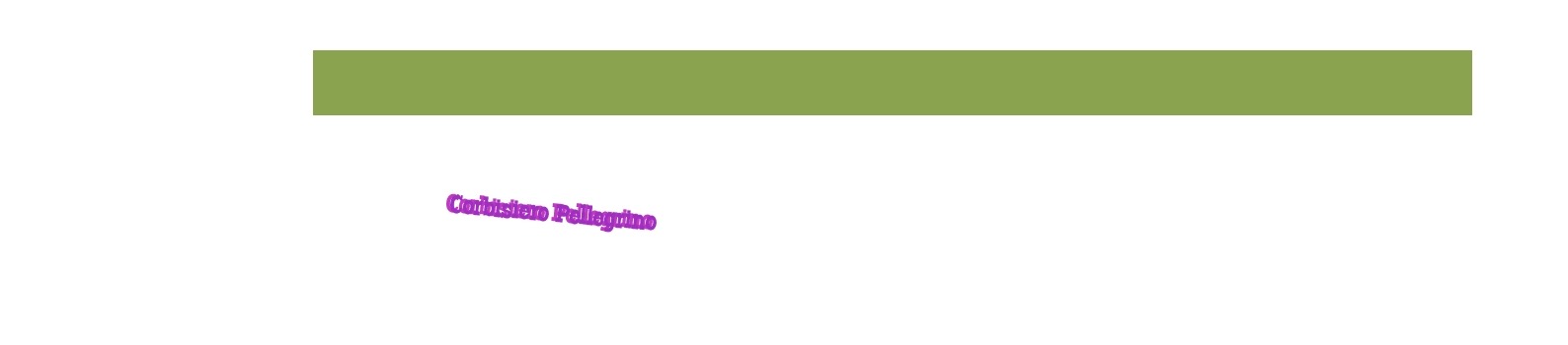 Corbisiero Pellegrino