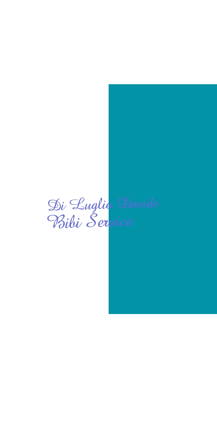 Di Luglio Davide Bibi Service