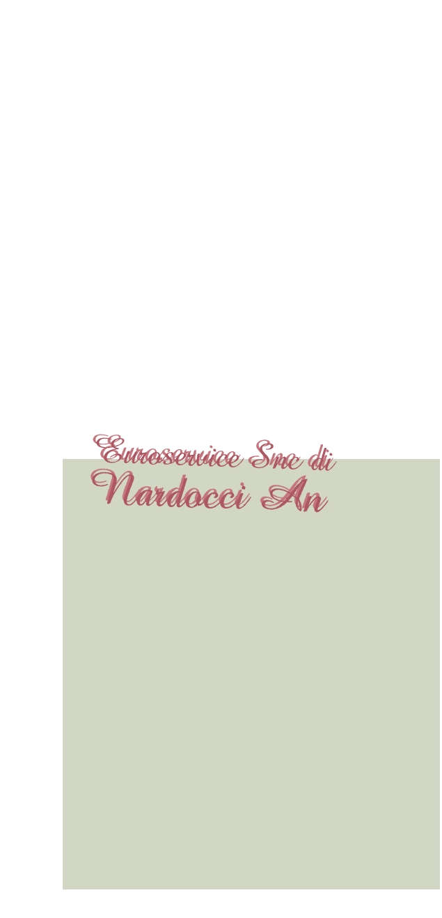 Euroservice Snc di Nardocci An