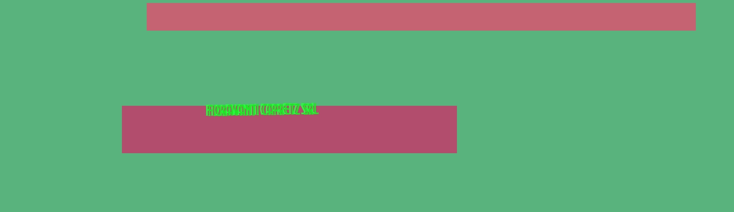 Fioravanti Capretz Srl Fioravanti Capretz Srl