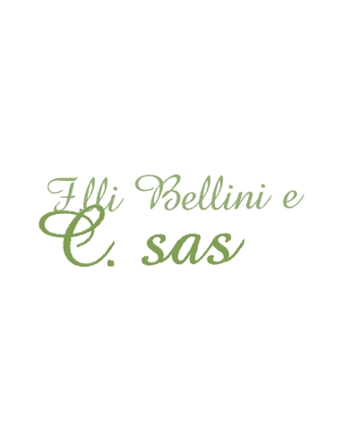 F.lli Bellini e C. sas F.lli Bellini e C. sas