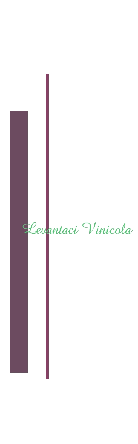 Levantaci Vinicola Levantaci Vinicola