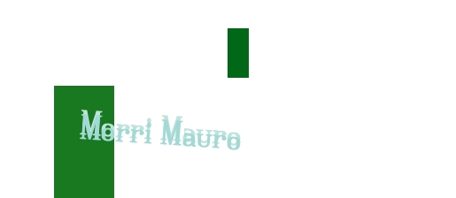 Morri Mauro Morri Mauro