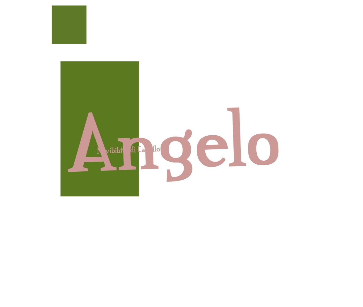 Novibibite di Capello Angelo