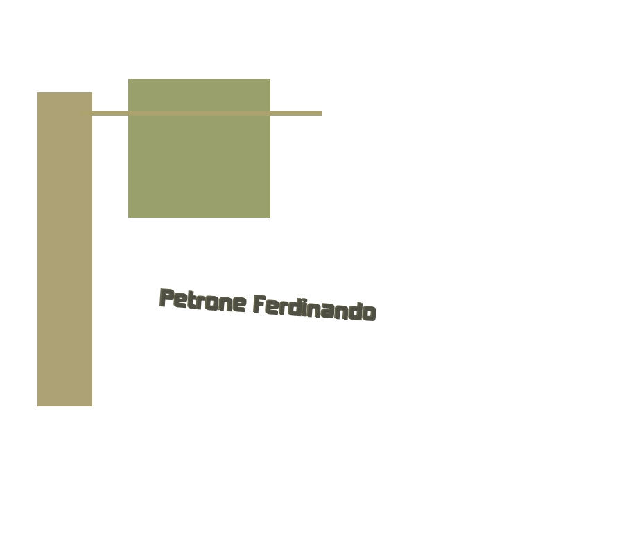 Petrone Ferdinando Petrone Ferdinando