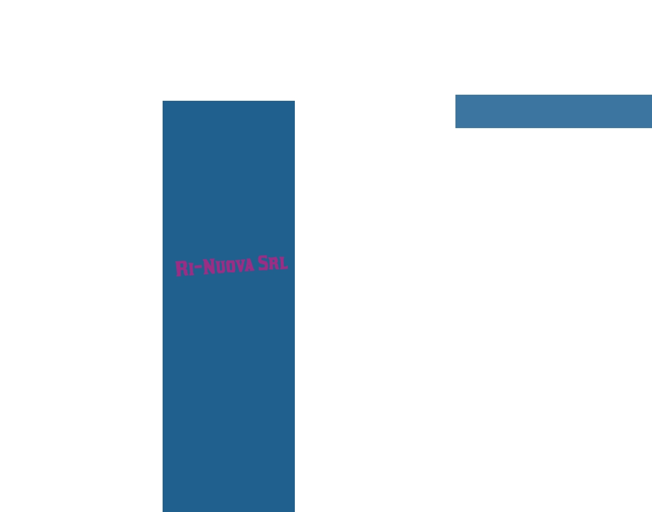Ri-Nuova Srl