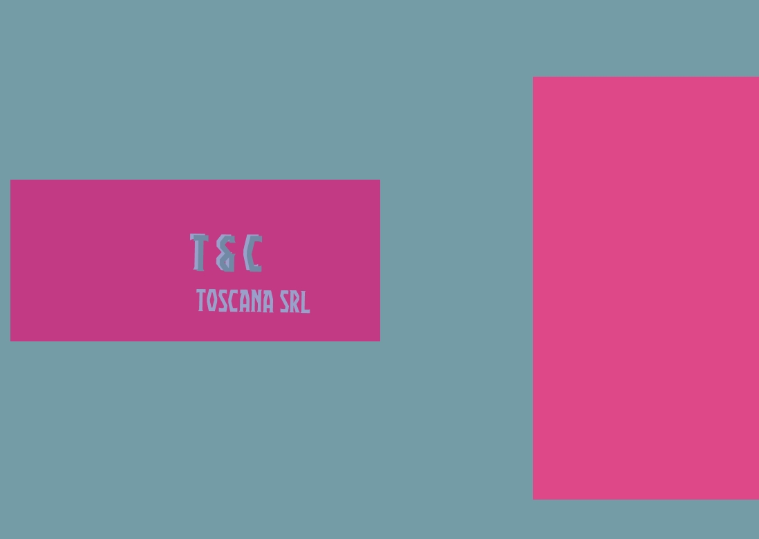 logo T & C Toscana Srl
