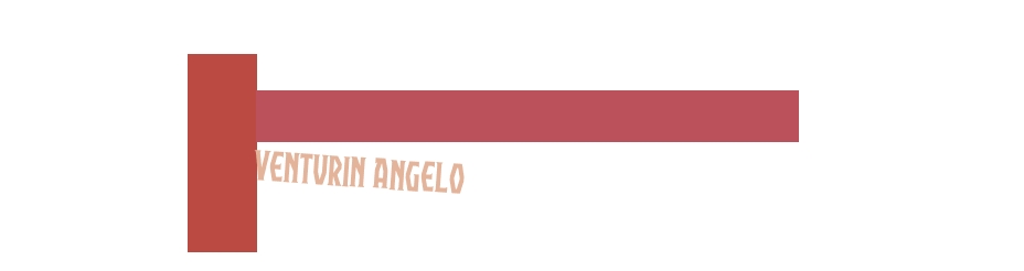 logo Venturin Angelo
