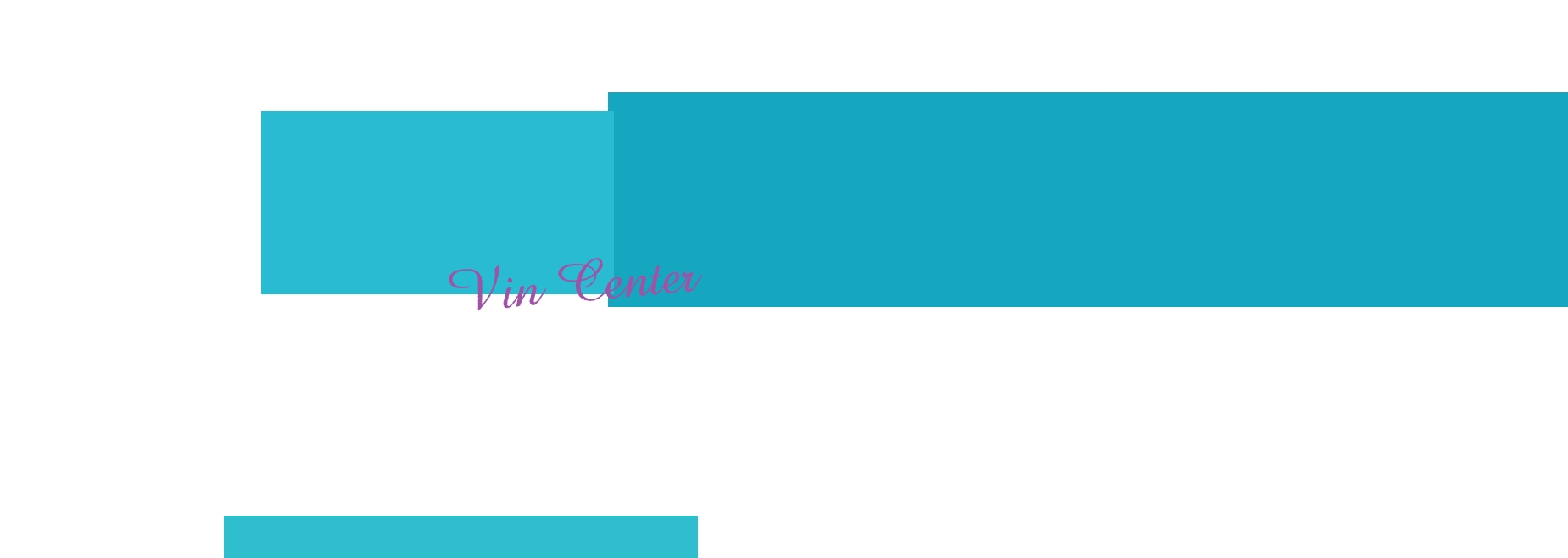 Vin Center