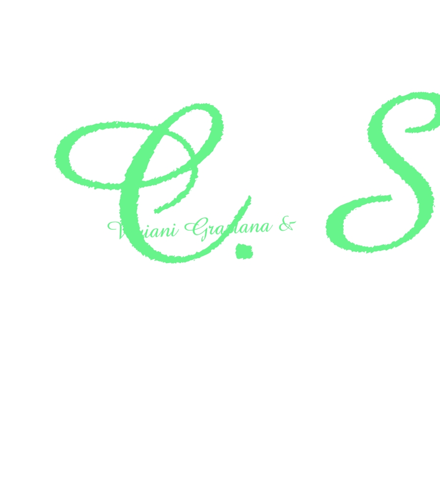Viviani Graziana & C. Snc