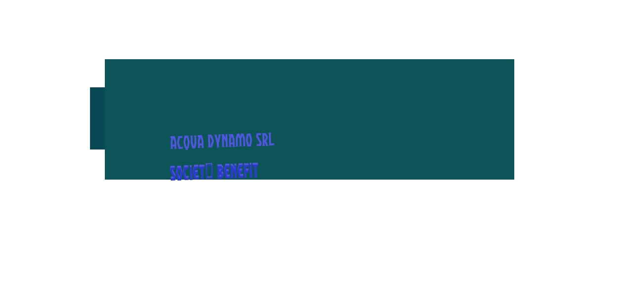 Acqua Dynamo Srl Società Benefit Acqua Dynamo Srl Società Benefit