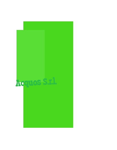 Acquos S.r.l. Acquos S.r.l.