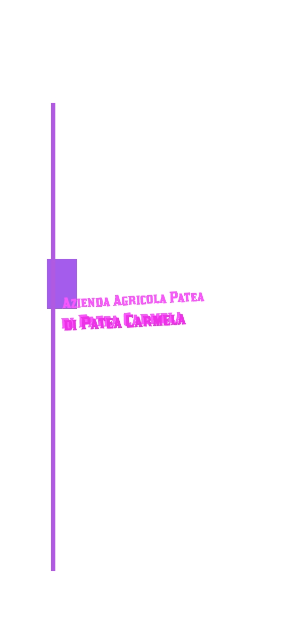 Azienda Agricola Patea di Patea Carmela