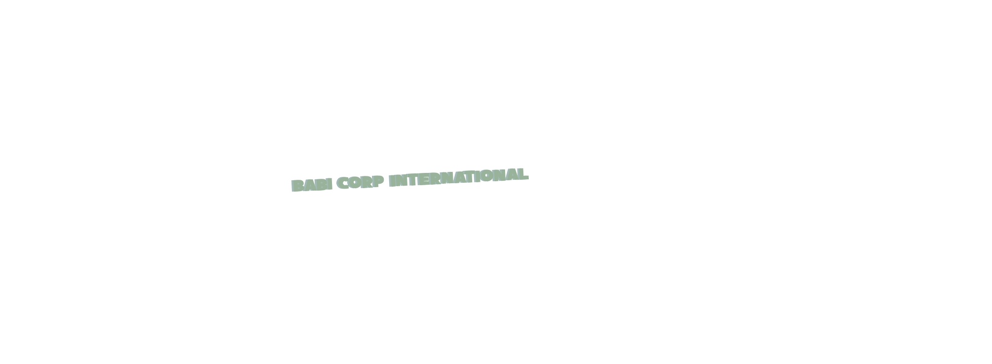 Babi Corp International