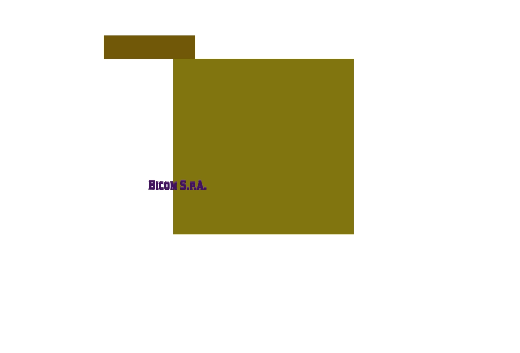 Bicom S.p.A. Bicom S.p.A.