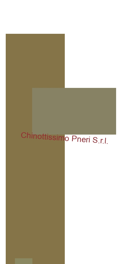 Chinottissimo Pneri S.r.l.