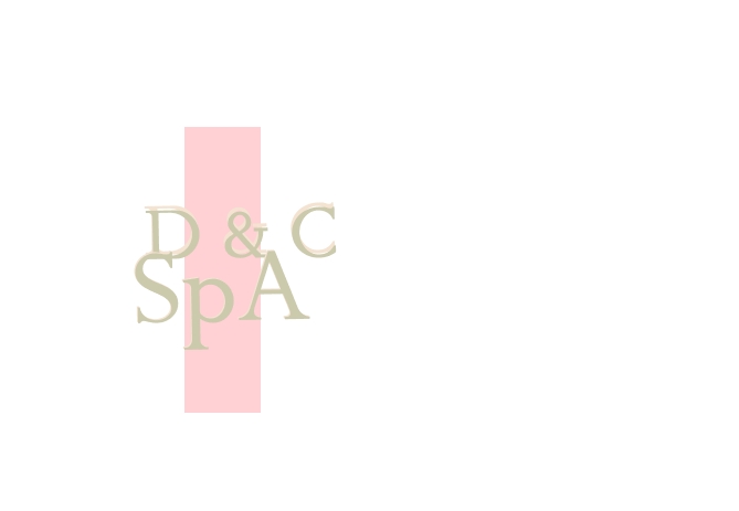 D & C SpA