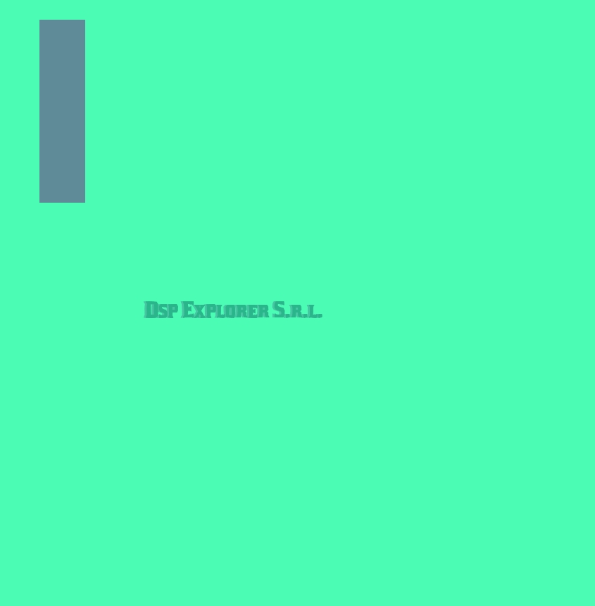 Dsp Explorer S.r.l.