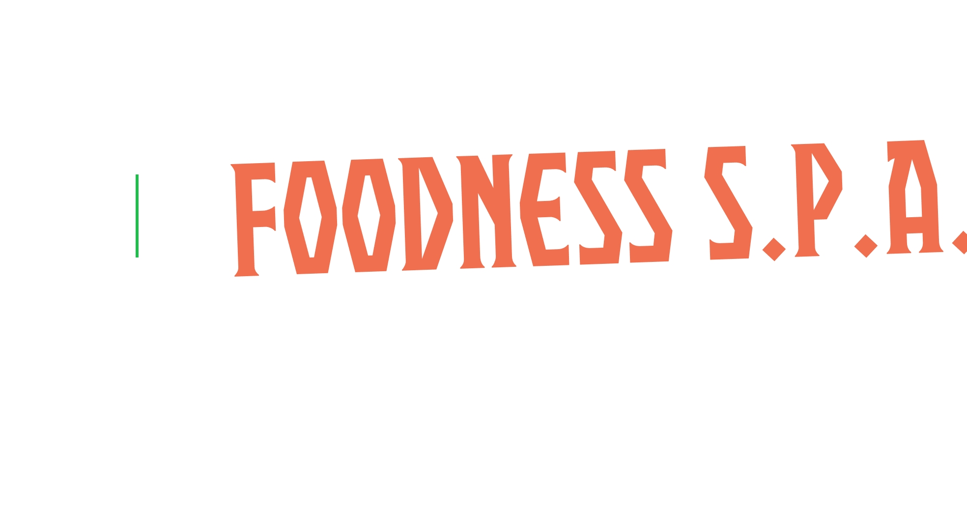logo Foodness S.p.A.
