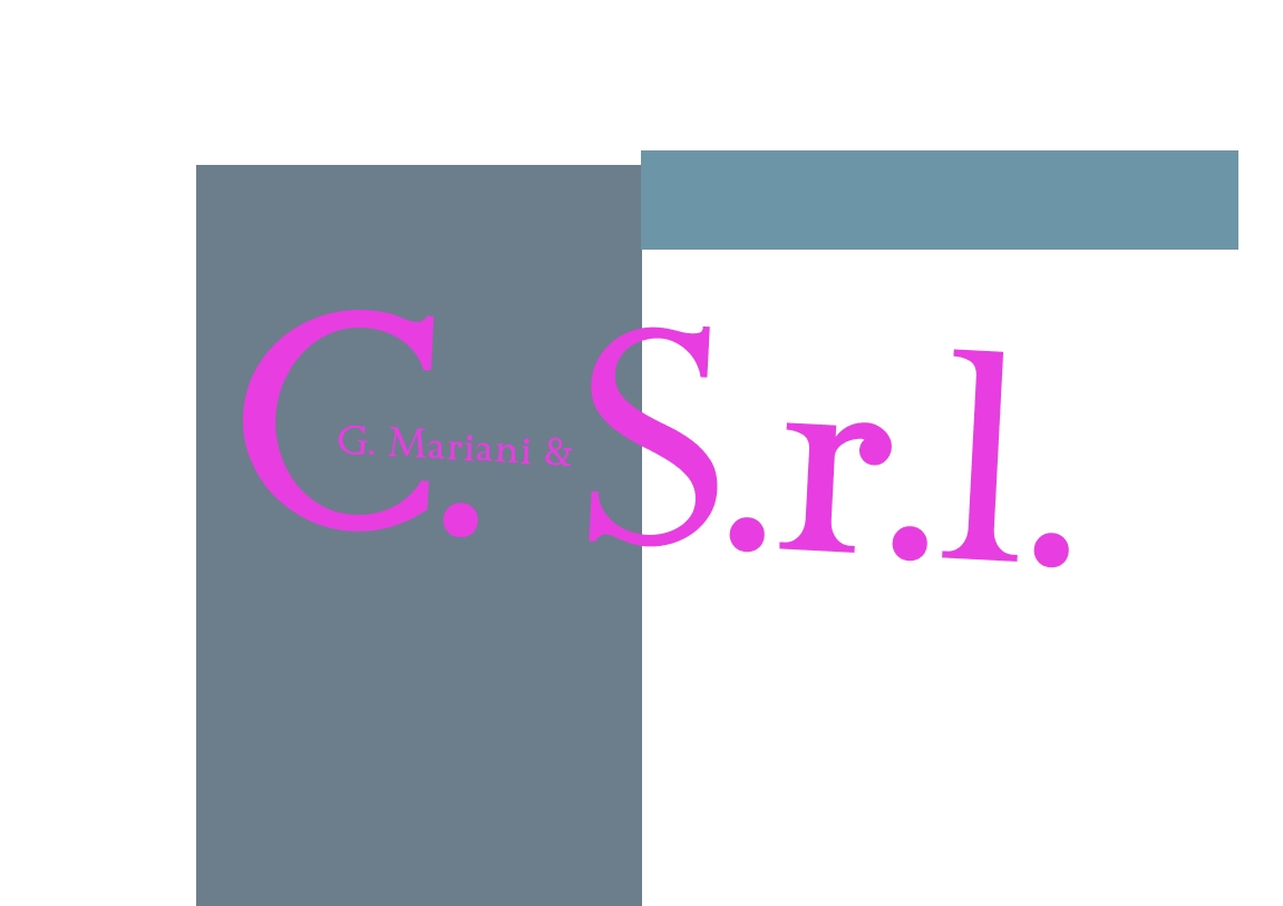G. Mariani & C. S.r.l.