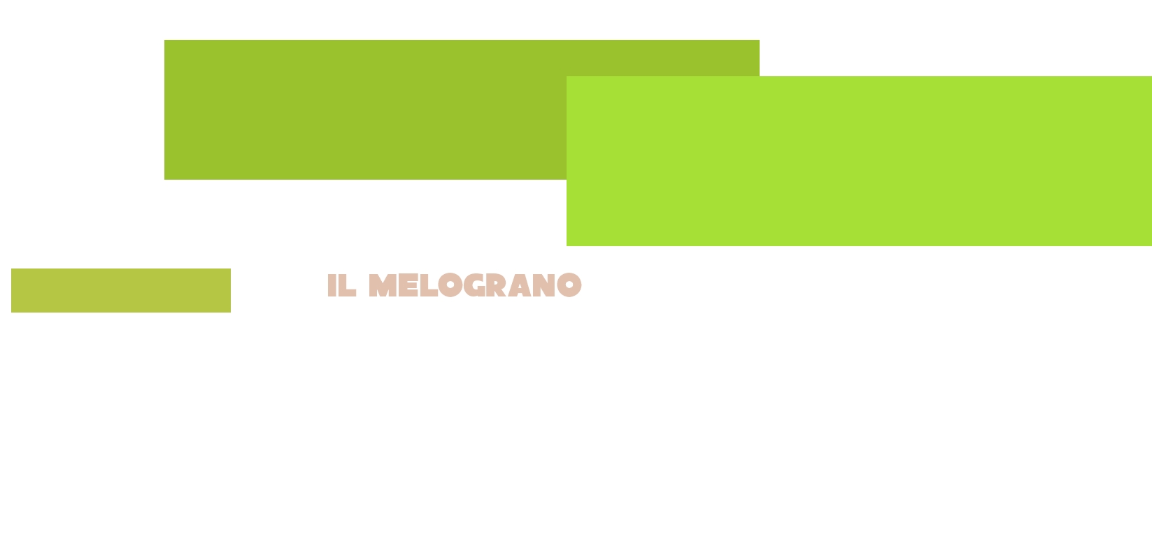 Il Melograno