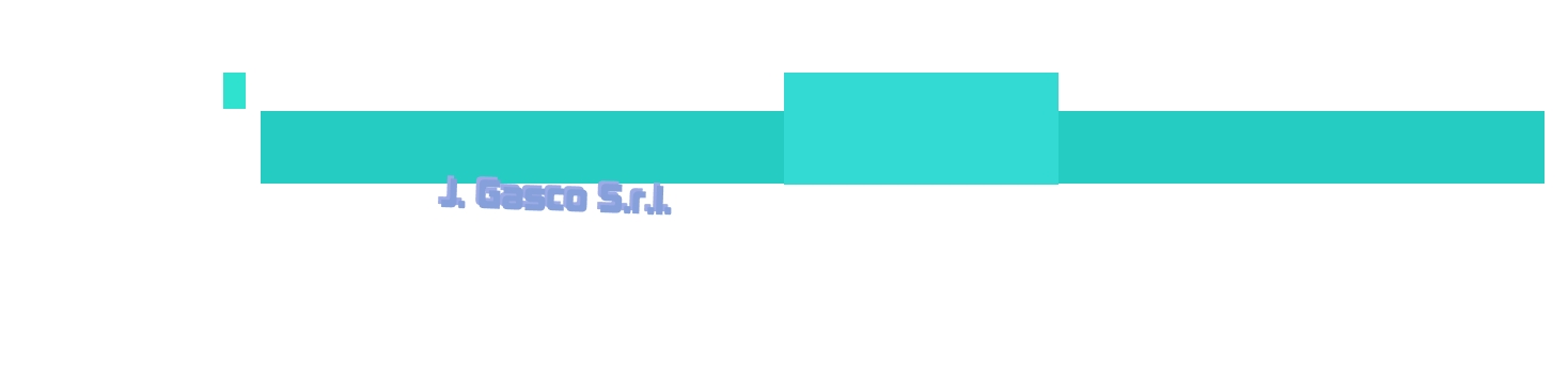 J. Gasco S.r.l.