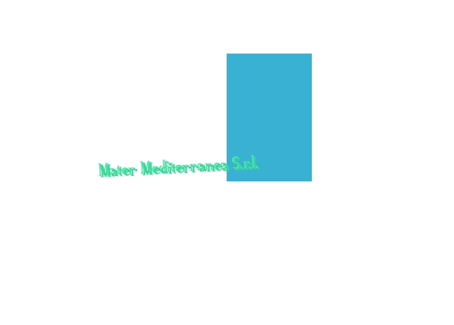 Mater Mediterranea S.r.l.